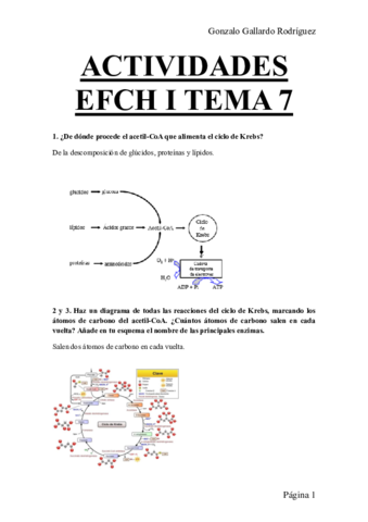 ACTIVIDADES-EFCH-I-TEMA-7.pdf