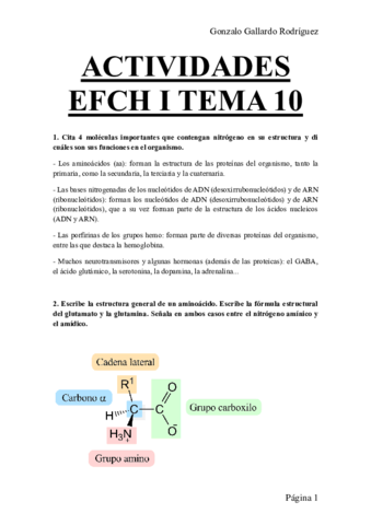 ACTIVIDADES-EFCH-I-TEMA-10.pdf