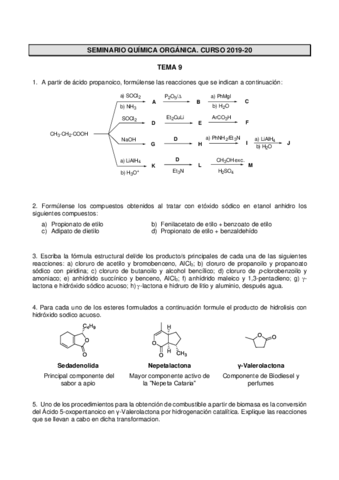 Seminario-Tema-9.pdf