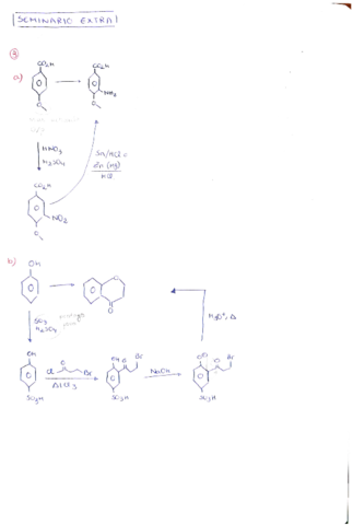seminario-extra.pdf