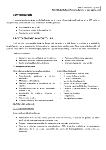 Tema-13Postoperatorio.pdf