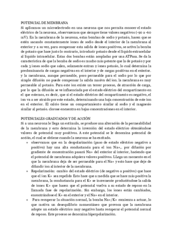 PREGUNTAS-IMPORTANTES-Primer-Parcial.pdf
