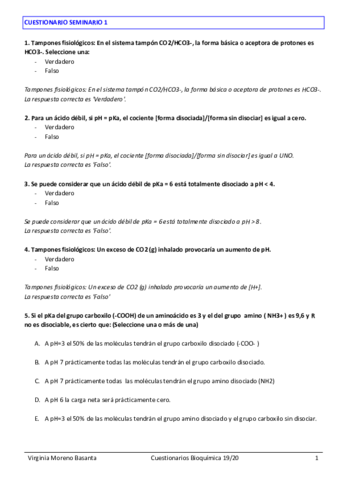 CUESTIONARIO-SEMINARIO-1.pdf