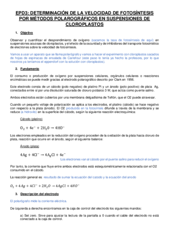 EPD3-INFORME.pdf