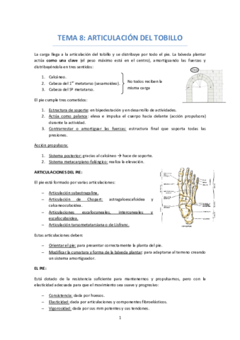 TEMA-8-ARTICULACION-TOBILLO--BOVEDA-PLANTAR.pdf