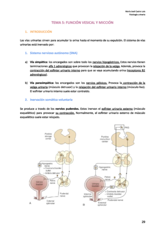 Miniatura del documento t5-funcion-vesicalmiccion.pdf