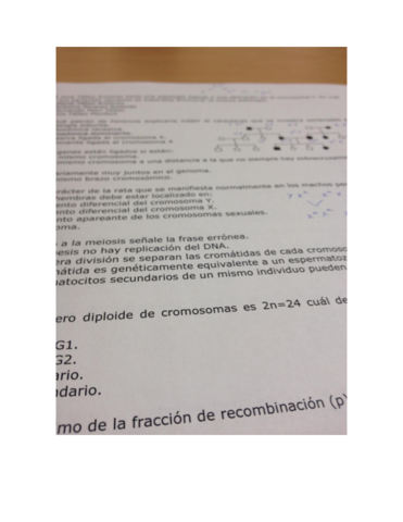 Preguntas-test.pdf