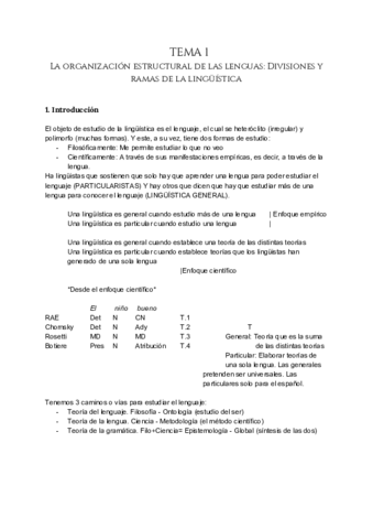 Tema-1-Linguistica-2-1.pdf