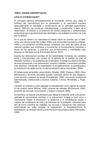 Tema-1-BASES-CONCEPTUALES.pdf