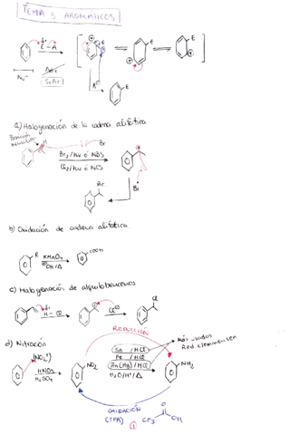 aromaticos.pdf