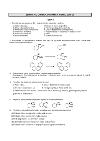 Seminario-Tema-5.pdf