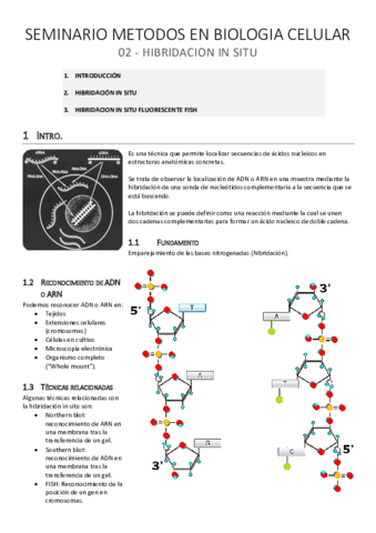 SEM-MBC. 02: Hibridación in situ.pdf