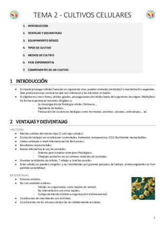 METODOS EN BIOCEL 02.pdf