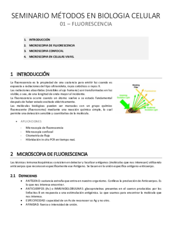 SEM MBC 01: Fluorescencia.pdf