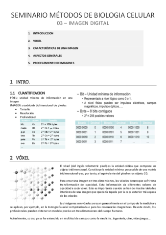 SEM MBC 03: Imagen Digital.pdf