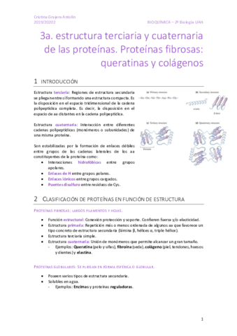 BIOQUI-03-Proteinas-II.pdf