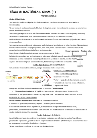 TEMA-8-.pdf