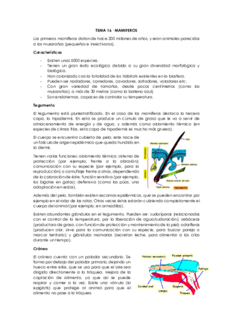 Tema-16-curso-19-20.pdf