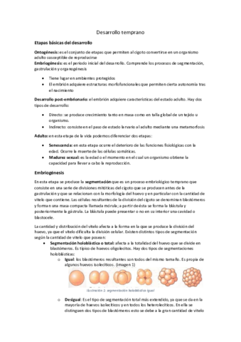 Desarrollo-temprano.pdf