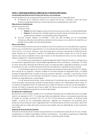 Resumen-Derecho-de-la-proteccion-social-DPS-1-1.pdf