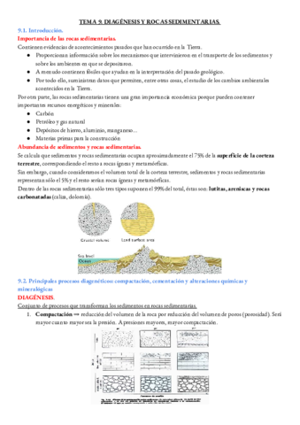 GEOLOGIA-TEMA-9.pdf