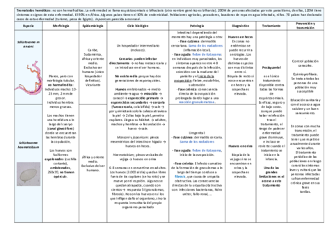 tema-16.pdf