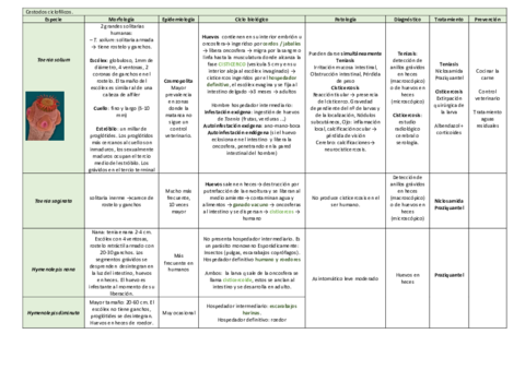 tema-19.pdf