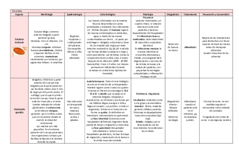 tema-21.pdf