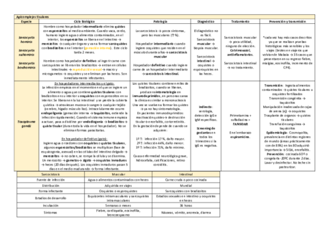 tema-11.pdf