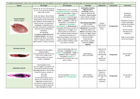 tema-14.pdf