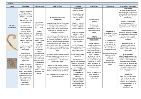 tema-24.pdf