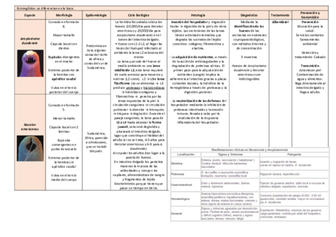 tema-23.pdf