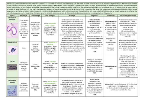 tema-25.pdf