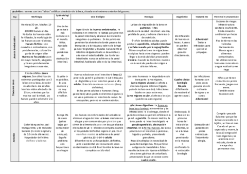 tema-22.pdf