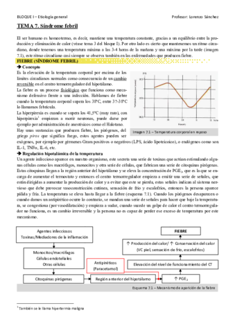 T7-Sindrome-febril.pdf