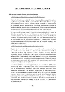 Teoría del Derecho I.pdf