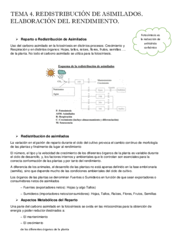 TEMA4.pdf
