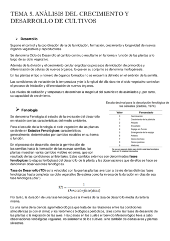 TEMA5.pdf