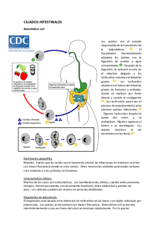 PARASITO-RESUMEN.pdf