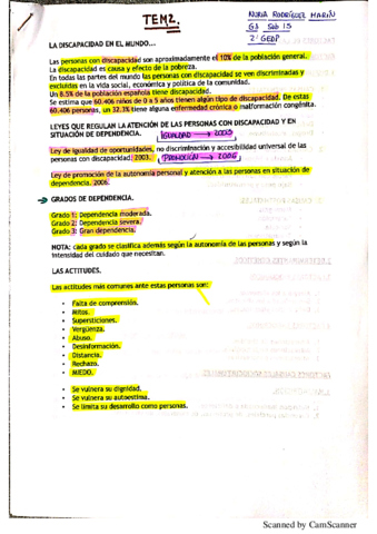 Miniatura del documento TEMA-2-DIFICULTADES.pdf