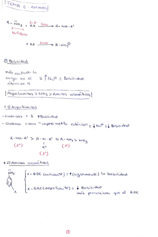 aminas.pdf