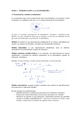TEMA 1   INTRODUCCIÓN A LA ECONOMETRÍA.pdf