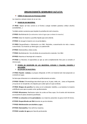 VIDEO-SEMINARIO-ORGANOGRAFIA.pdf