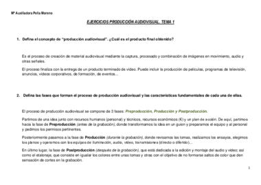 PRODUCCION_auxpenmor.pdf