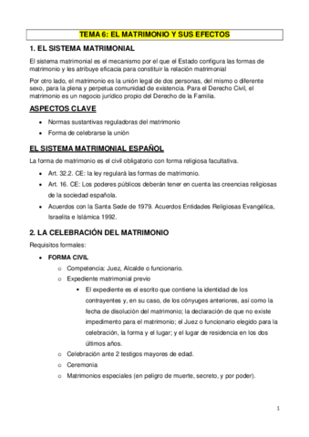 TEMA-6.pdf