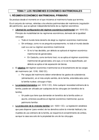 TEMA-7.pdf