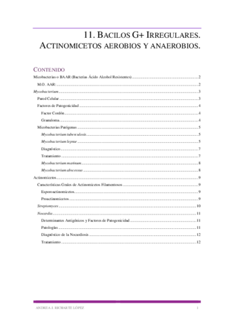 11.-BACILOS-G-IRREGULARES.-ACTINOMICETOS-AEROBIOS-Y-ANAEROBIOS.pdf