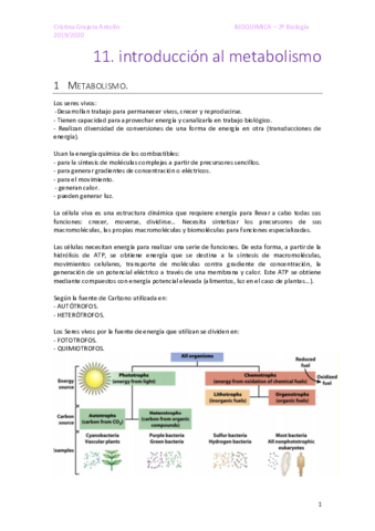 BIOQU11-Metabolismo-I.pdf