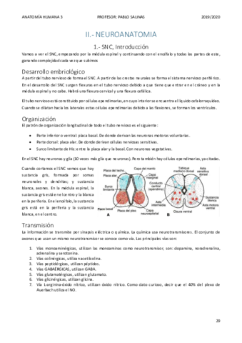 NEUROANATOMIA.pdf