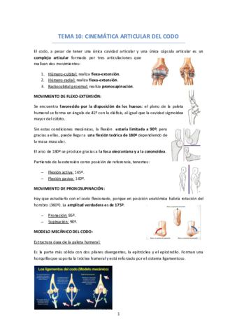 TEMA 10 ARTICULACION CODO Y MUÑECA